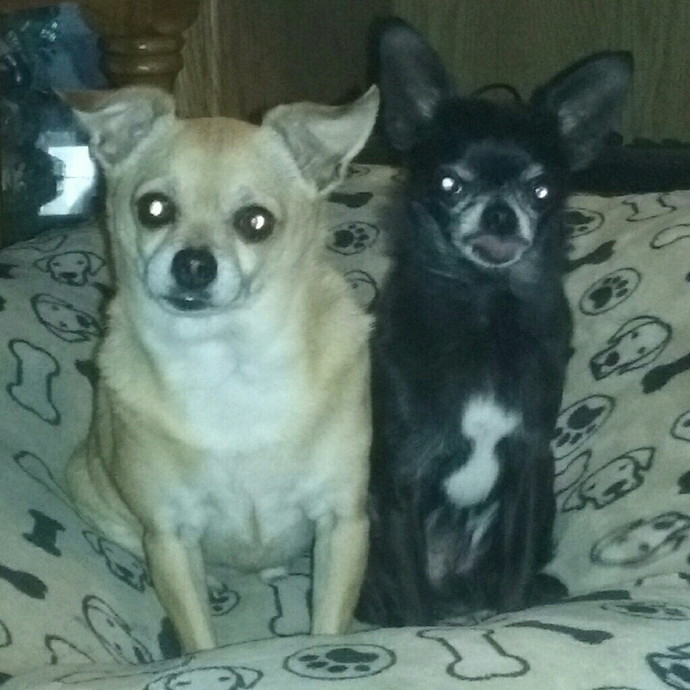 Meet your Posher, Marissa